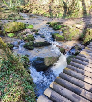 Cascades de la vallée de Sans Souci - Châtel-Guyon - 19