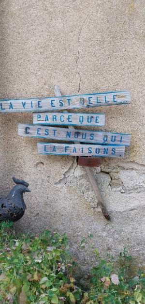 Bords de Sèvre nantaise et douceur à la française - Boussay - 7