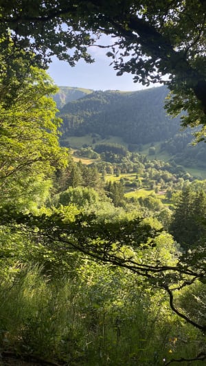De grote waterval van Mont-Dore en zijn onweerstaanbare charme - Mont-Dore - 84