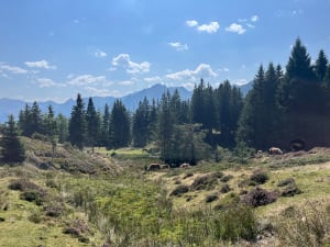 Au cœur du Val d'Azin et paysages à couper le souffle - Arbéost - 6