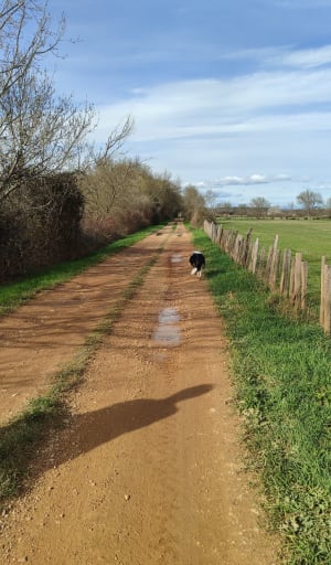 Sentier de Cougourlier - Saint-Gilles - 9