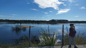 Teich Vogelreservaat - Le Teich - 6