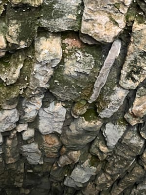 Randonnée au village Troglodytique de Barry - Saint-Paul-Trois-Châteaux - 11