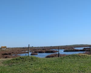 Mauguio: droomexcursie rond de moerassen van Plagnol - Mauguio - 34
