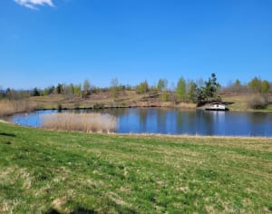 Etang et prairies au Plateau des Grilloux - Servance-Miellin - 3
