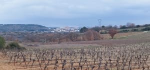 Murviel-lès-Béziers et faire en sorte que dure ce moment doux - Murviel-lès-Béziers - 6