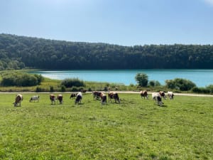 Les quatre lacs, Ilay, Narlay, Petit Maclu et Grand Maclu - La Chaux-du-Dombief - 13