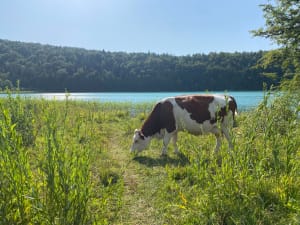 Les quatre lacs, Ilay, Narlay, Petit Maclu et Grand Maclu - La Chaux-du-Dombief - 14