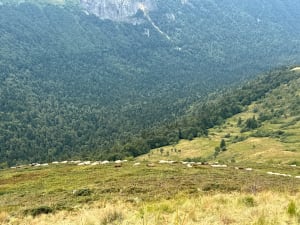 Puy Mary en dertien miljoen jaar vulkanisme - Super-Lioran - 11