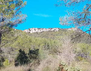 Kapel van Saint-Quinis en de schoonheid van de Issole-vallei - Sainte-Anastasie-sur-Issole - 3