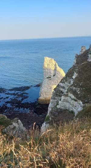 De stroomopwaartse kliffen en de stroomafwaartse kliffen - Bénouville - 11