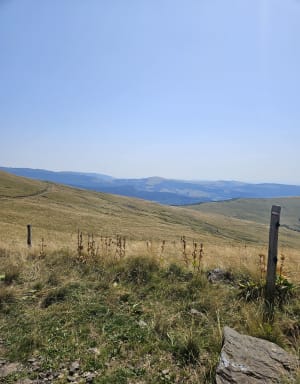 Belle balade au Puy Violent - Saint-Paul-de-Salers - 9
