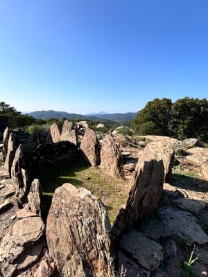 Les dolmens de Gaoutabry à La Londes-les-Maures - La Londe-les-Maures - 19