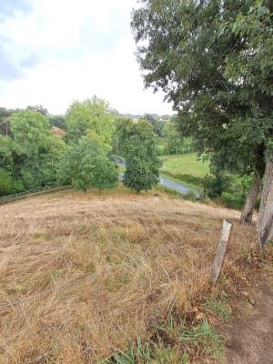 Bord du St Denis, Bois Gelé par Vétillerie - Mauges-sur-Loire - 9