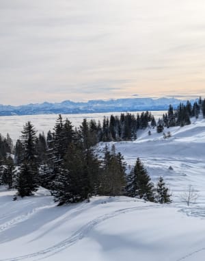 Montée à La Dôle - Divonne-les-Bains - 3