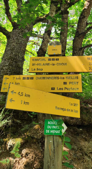 Balade autour de La Sep - Saint-Hilaire-la-Croix - 11