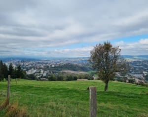 Balade jusqu'à la Madone de Rochetaillée - Saint-Étienne - 10
