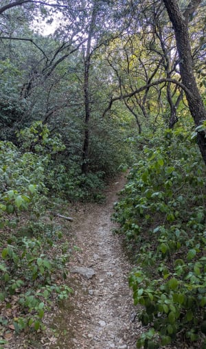 Sur les hauteurs de Simiane - Simiane-Collongue - 2