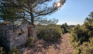 Sur les hauteurs de Simiane - Simiane-Collongue - 4