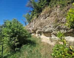Sentier de l’ail - Lautrec - OLIVIER - 5