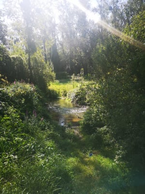 Autour de Presles en Brie - Presles-en-Brie - 13