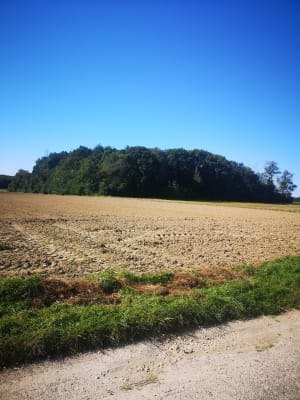 Autour de Presles en Brie - Presles-en-Brie - 15