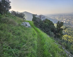 Immanquable randonnée à La Penne-sur-Huveaune - La Penne-sur-Huveaune - 14