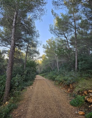 Immanquable randonnée à La Penne-sur-Huveaune - La Penne-sur-Huveaune - 15