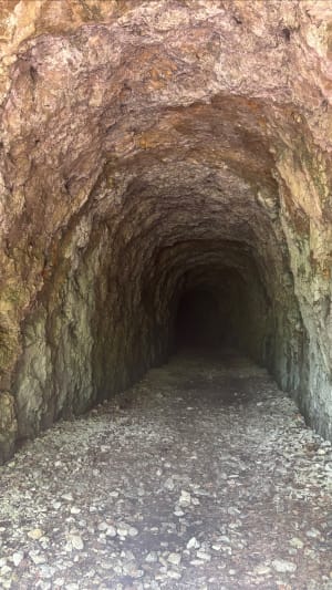 Wandel naar de Charabotte-waterval - Plateau d'Hauteville - 14