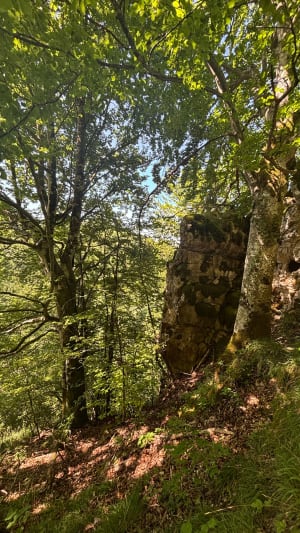 Wandel naar de Charabotte-waterval - Plateau d'Hauteville - 16