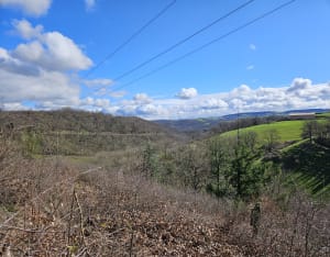 Sur la trace des crapauds à Saint Andéol le Chateau - Beauvallon - 10