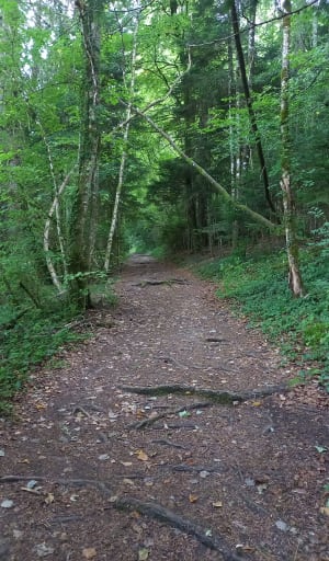 Marais de veaux - Plateau d'Hauteville - 7