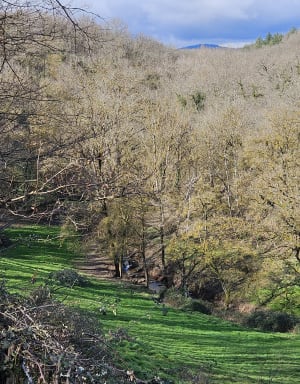 Sur la trace des crapauds à Saint Andéol le Chateau - Beauvallon - 12