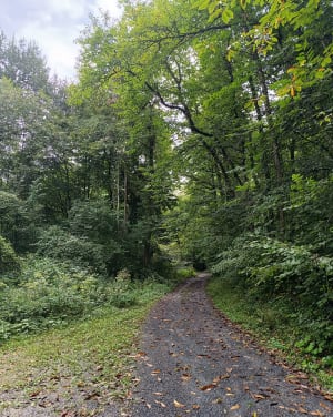 Col d'Auach depuis Cier de rivière - Cier-de-Rivière - 10