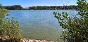 Étang Lénière, et vue sur le Bugey - Châtillon-la-Palud - 5