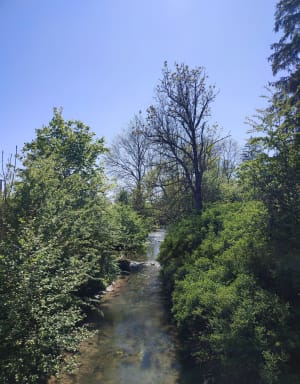 Lac de la Folie, Boucle Vittel par Contrexeville - Vittel - 10