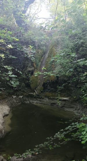 Entre crêtes et vallons à Aubignas - Aubignas - 4