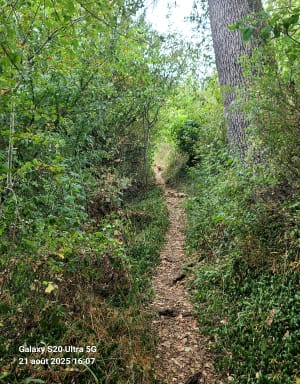 Capdenac-le-Haut et Malirat - Capdenac - 8