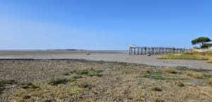 Immersion à Fouras et sa Pointe de la Fumée historique - Fouras - 3