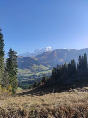 Natuurpad en Belle au Bois-waterval in Megève - Megève - 7