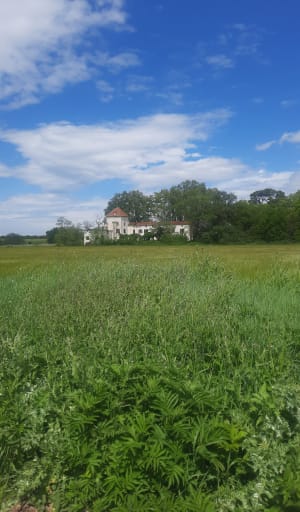 Tour des étangs de la Malhaute et nature préservée - Thézan-lès-Béziers - 14