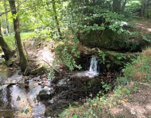 La boucle des Escaunelles - Mazamet - 2
