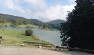Lac de Genin - Charix - 12