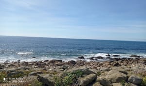 Baie d'Audierne et courir sur la plage de Sainte-Evette - Aline - 4