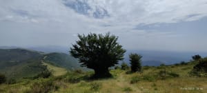 De Neulos-piek vanaf de Ouillat-pas. - Laroque-des-Albères - 13