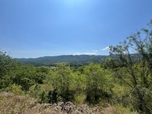 Balade tranquille de Lamalou à Hérépian - Lamalou-les-Bains - 3