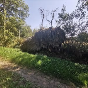 Balade sur les rives du lac de Graon - Saint-Vincent-sur-Graon - 9