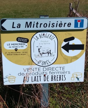 Tour de la Turmelière - Orée-d'Anjou - 16