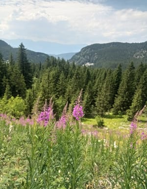 Escapade au Lac Fourchu depuis le Lac de Poursollet - Sandrine - 16