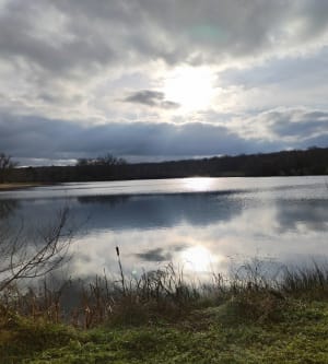 Sortie dans la forêt de Châtellerault - Châtellerault - 9